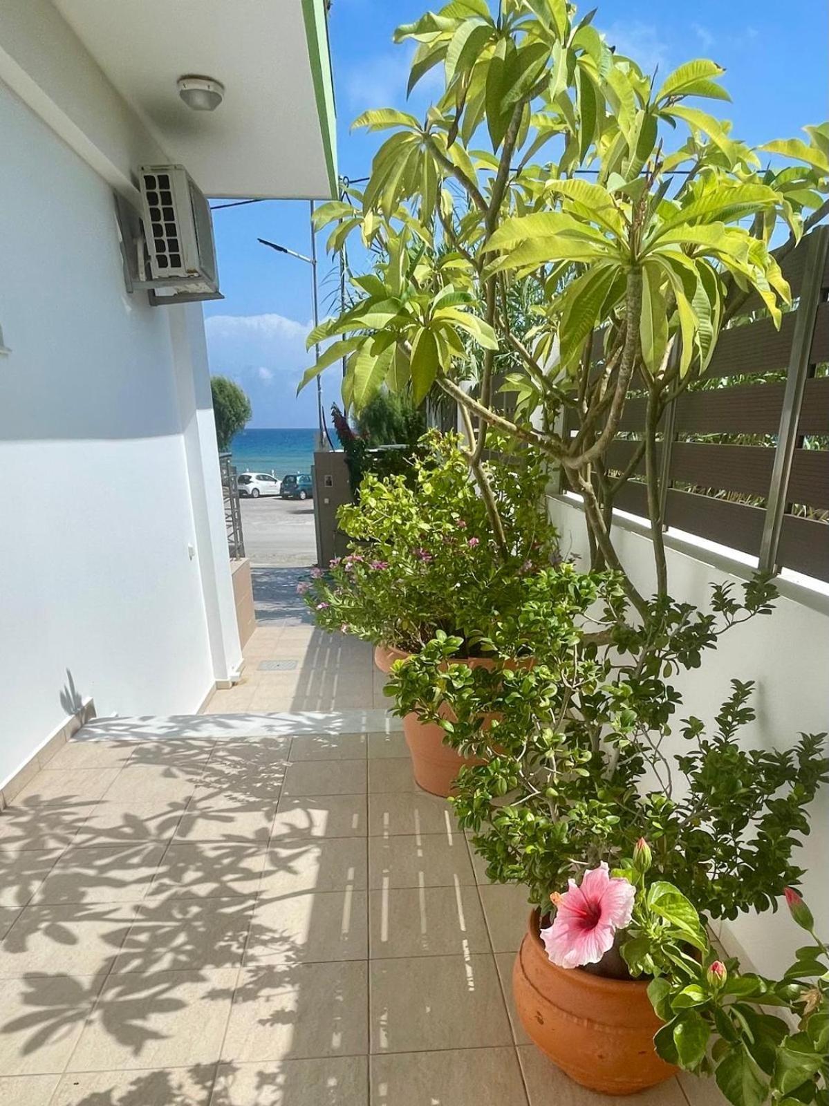 Red Hibiscus Stegna Pensionat Archangelos  Exteriör bild